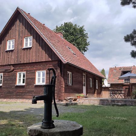 Ferienhaus Am Muehlteich Rietschen Extérieur photo